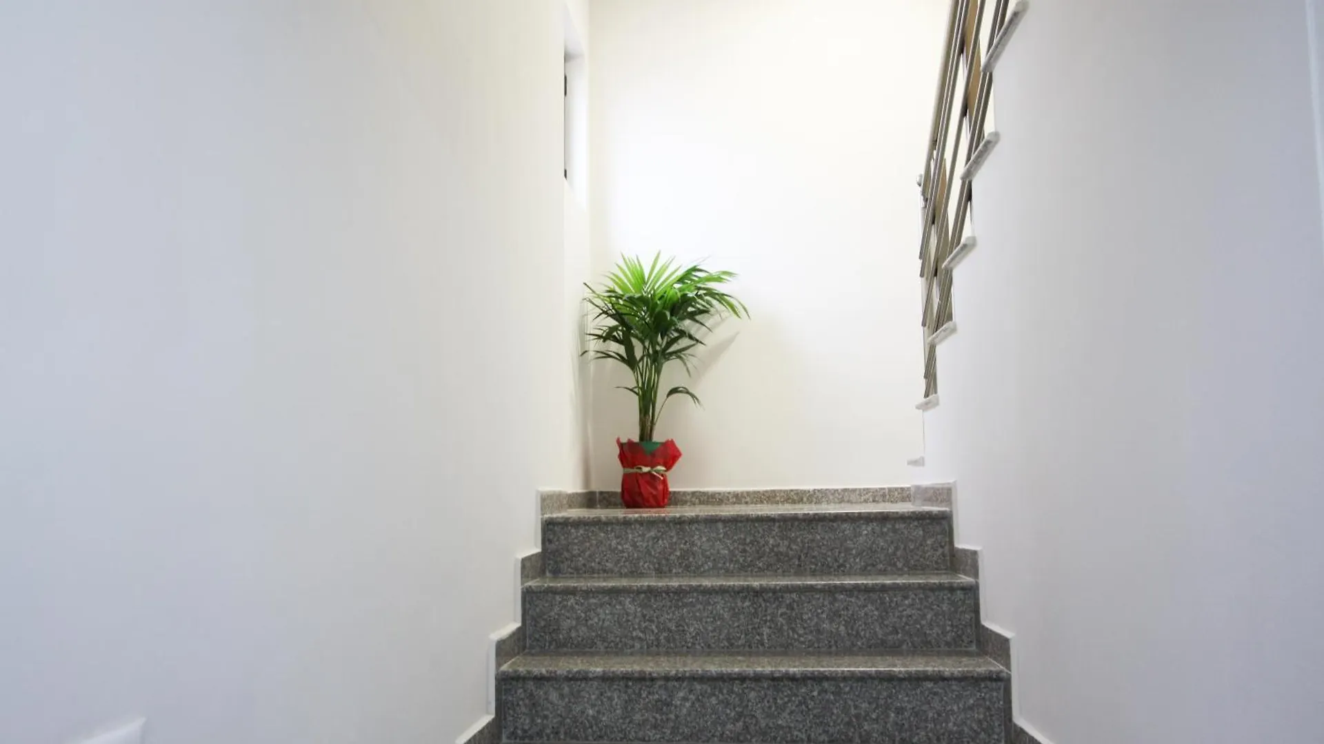 Villa Reve De Tirana 3*,  Albania